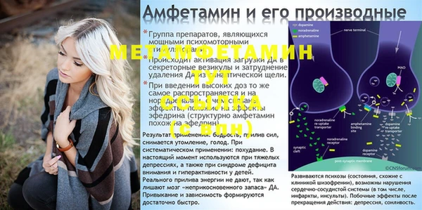 Альфа ПВП Новозыбков