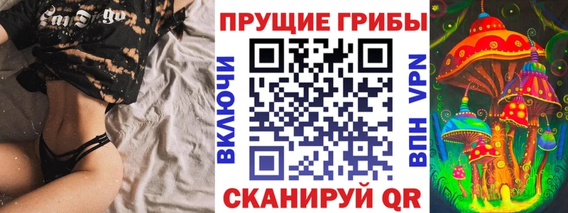 Псилоцибиновые грибы Psilocybe  Арсеньев 